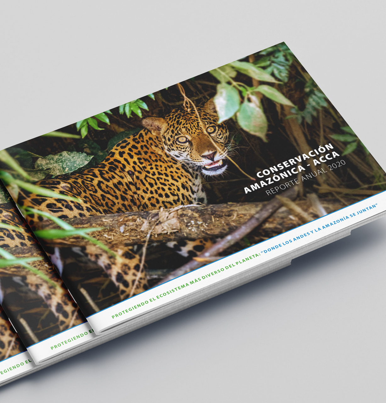 Reporte Anual 2020. Conservación Amazónica ACCA