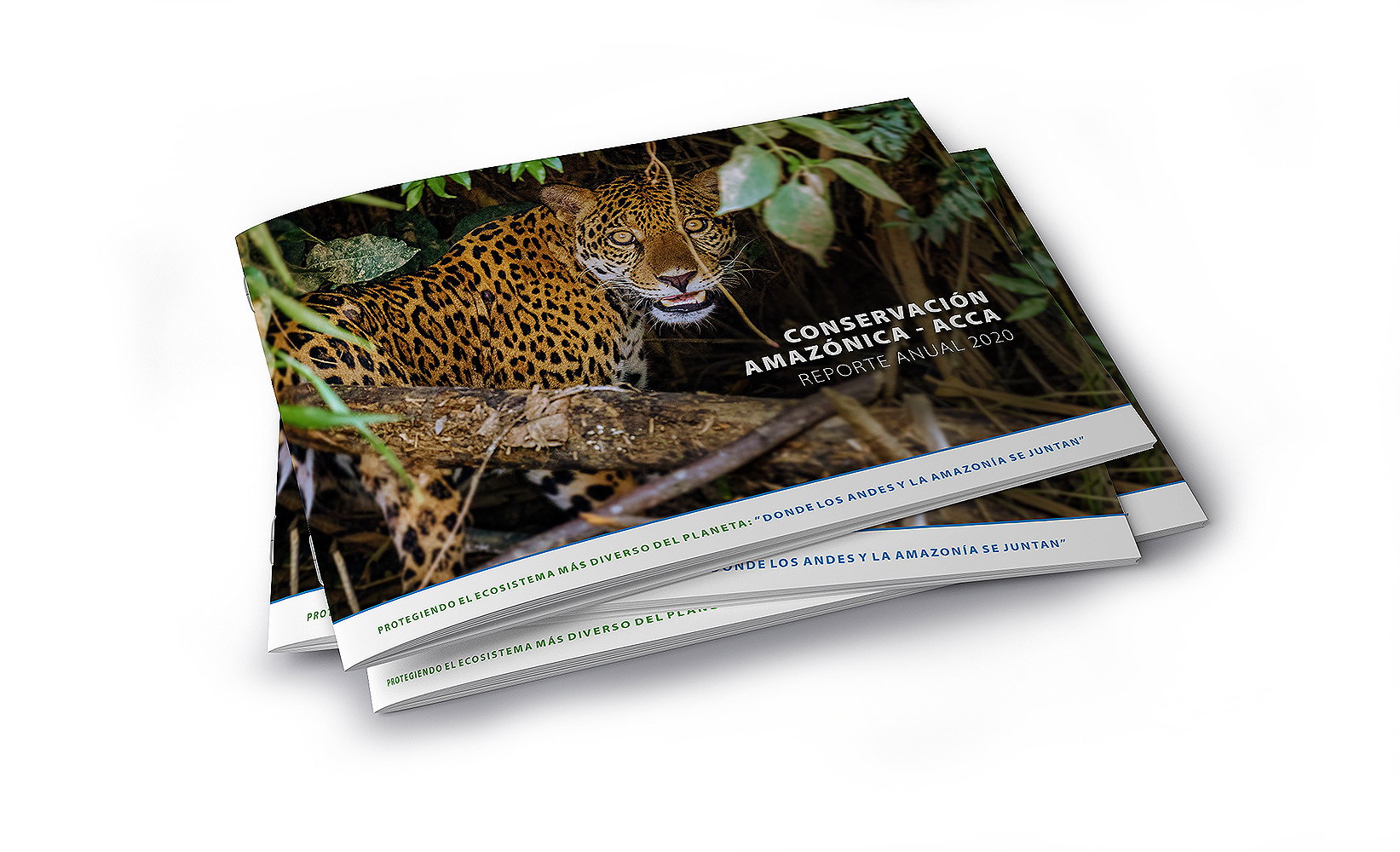 Reporte Anual 2022. Conservación Amazónica ACCA